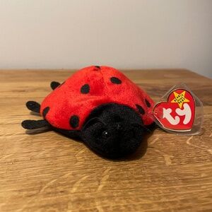 Ty Beanie Babies Lucky Ladybug Red Black 1995 – New Tag Protector VINTAGE